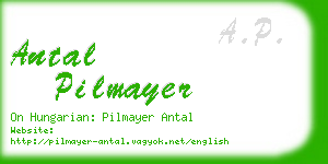 antal pilmayer business card